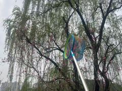 -重庆彩云湖湿地公园