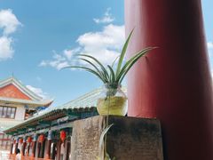 -MAP CHA普洱茶馆(翠湖店)