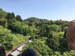 -有栖山 清光院 清水寺