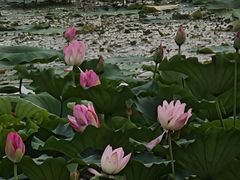 -苏州吴中太湖旅游区