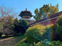 -二一九公园