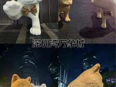 -深圳湾万象城