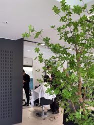 -付军剪艺JF ProSalon
