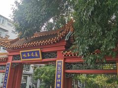 -桃花堤公园