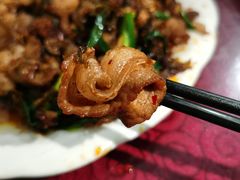 -灯盏窝饭店(新都分店)