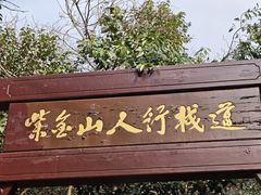 -紫金山天文台