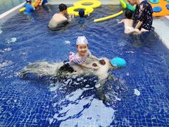 -尼莫亲子游泳NEMOSWIM(西美中心)