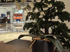 -游You House(西单老佛爷店)