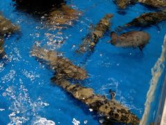 -盒马鲜生(龙德广场店)