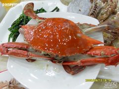SDC10481-海岛渔村大酒店(云霄路店)