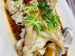 -欢乐海岸美食联盟