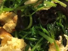 菠菜鸡蛋炒木耳-阿罗新疆菜(人民广场店)