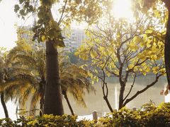 -怡海公园(桂城街道)