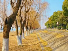 -扬子江公园