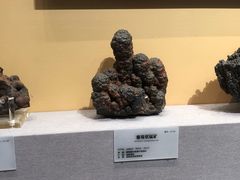 -湖南省地质博物馆