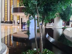 -新都绿城喜来登酒店大堂吧