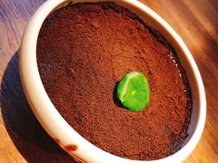 酸奶小盆栽-蜜桃餐厅·江浙融合菜(荟聚购物中心店)