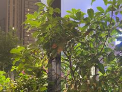 -ibarrel爱杯·bistro&brunch(江宁路店)