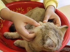 -平行世界·猫咖(首经贸店)