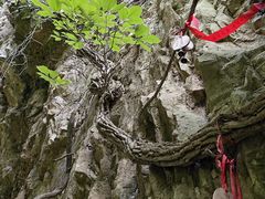 -神龙峡风景区