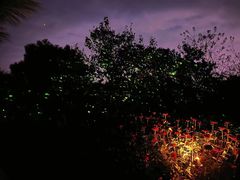 -名花谷生态庄园