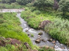 -武汉姚家山旅游景区