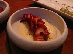缥缈章鱼-FOGO