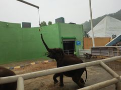 -大连森林动物园