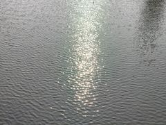 -深圳龙潭公园