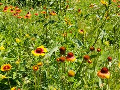 -永定河休闲森林公园