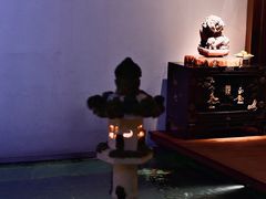 -觀芷隐轩