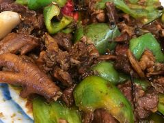 -万达广场(泰安泰山店)