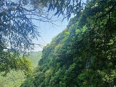 -桃花岭景区