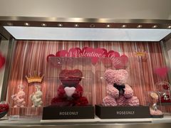 -ROSEONLY诺誓(广州K11店)