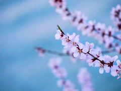 -颐和园