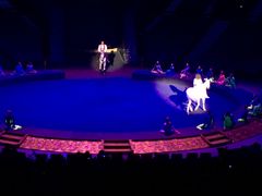 -珠海横琴长隆《卡卡虎奇遇记》