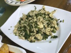 -张鸟园农家乐(张鸟园店)