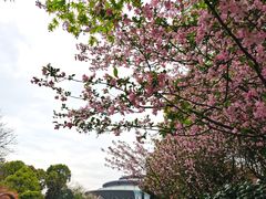 -杭州城北体育公园