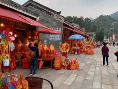 -悦城龙母祖庙