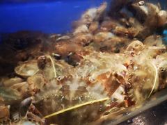 -V-ONE西雅图海鲜自助餐厅(仓山万达广场店)