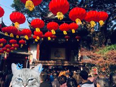 -一只酸奶牛(奎星楼店)