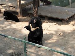 -石家庄市动物园