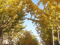 -兴芮温泉度假区