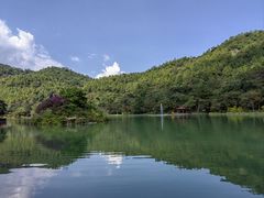 -广州白江湖森林公园