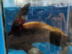 -海合安成都极地海洋公园