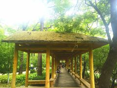 -元大都城垣遗址公园