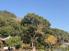 -灵岩山风景区
