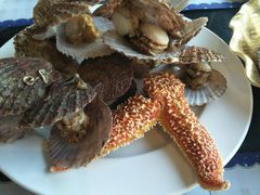 -淄博蓝海国际大饭店·蓝钻国际美食自助百汇(柳泉路店)