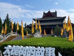 -大槐树寻根祭祖园