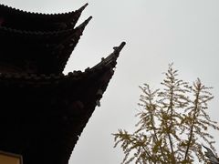 -梅园